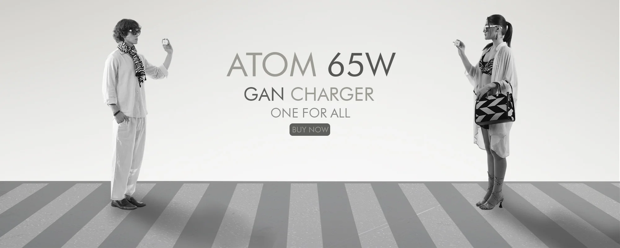 zebraa 65w banner